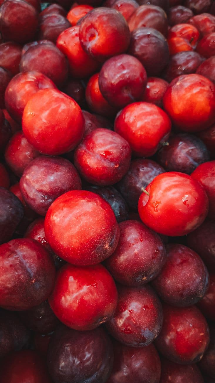 Fresh Plum
