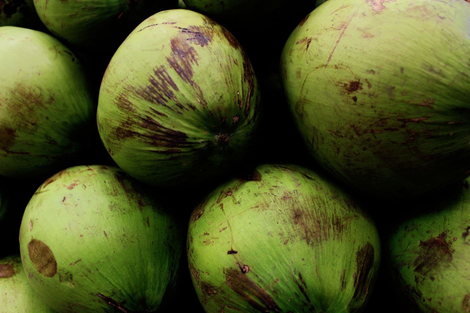 Organic Coconut Whole
