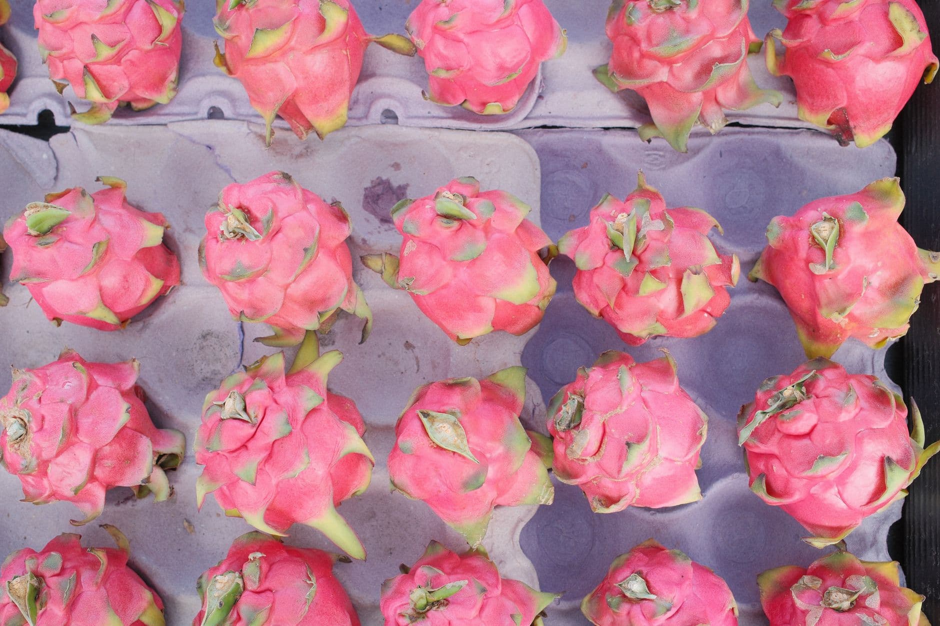 Fresh Dragon Fruit