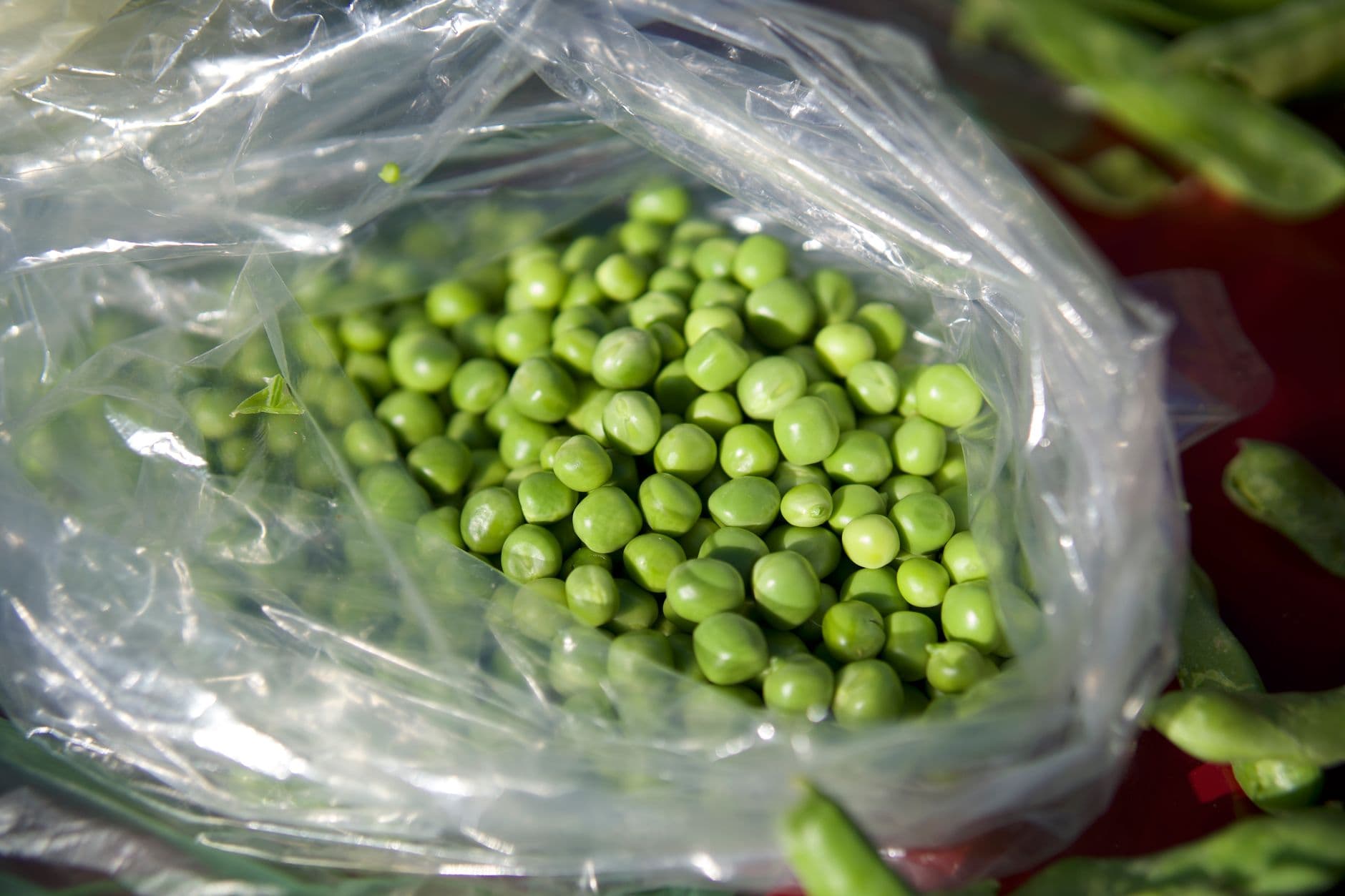 Organic Green Pea