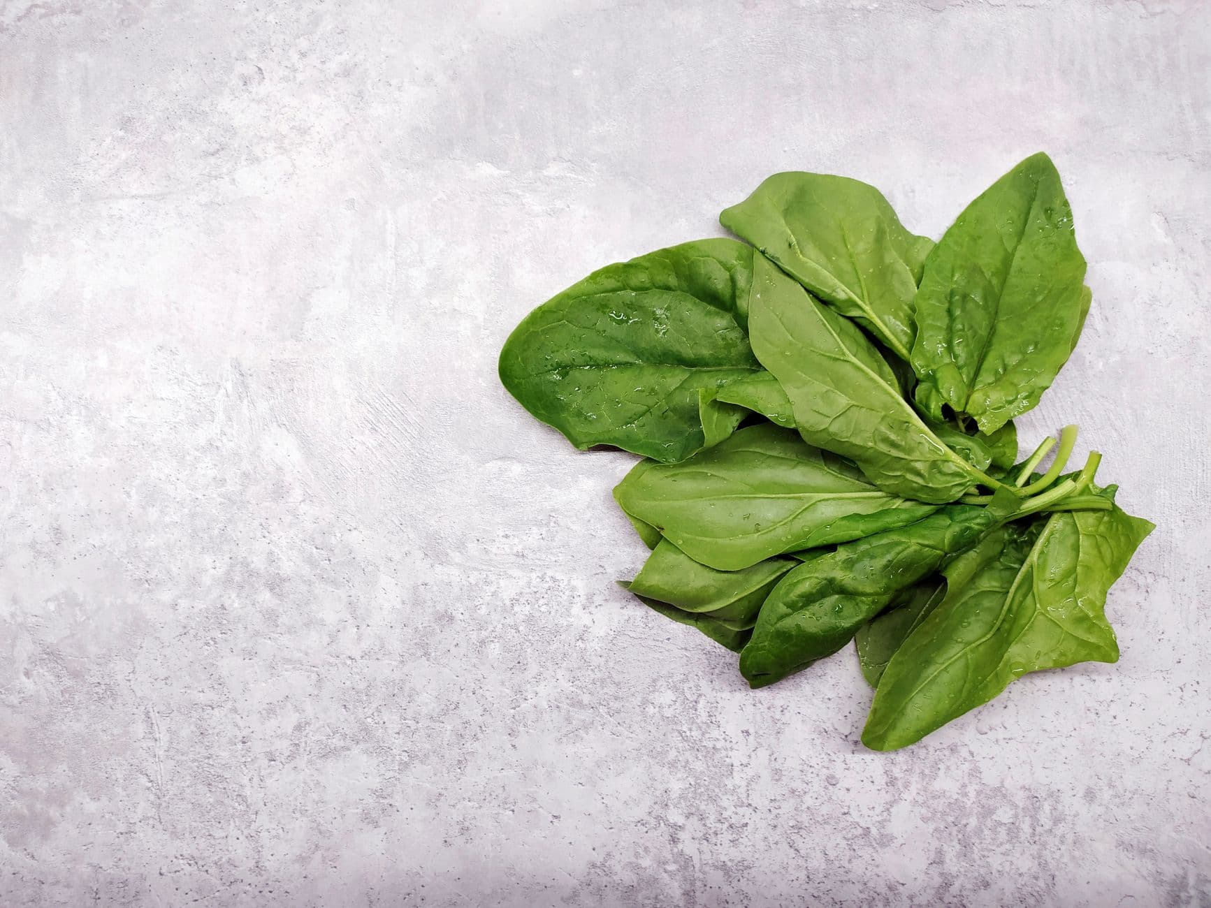 Fresh Spinach Bunch