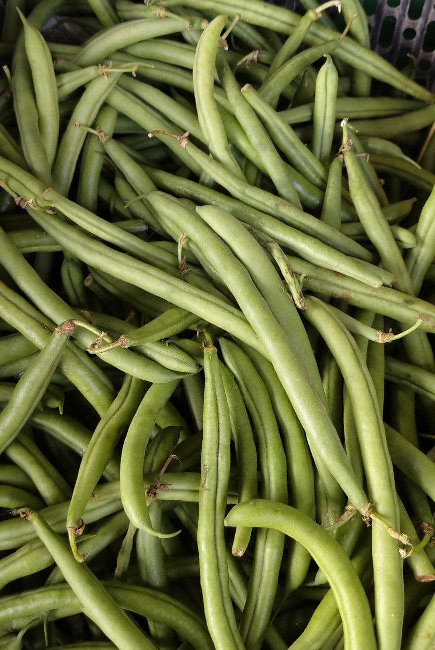 Organic French Beans
