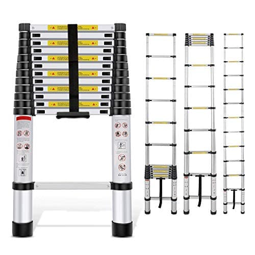 Telescopic Ladder