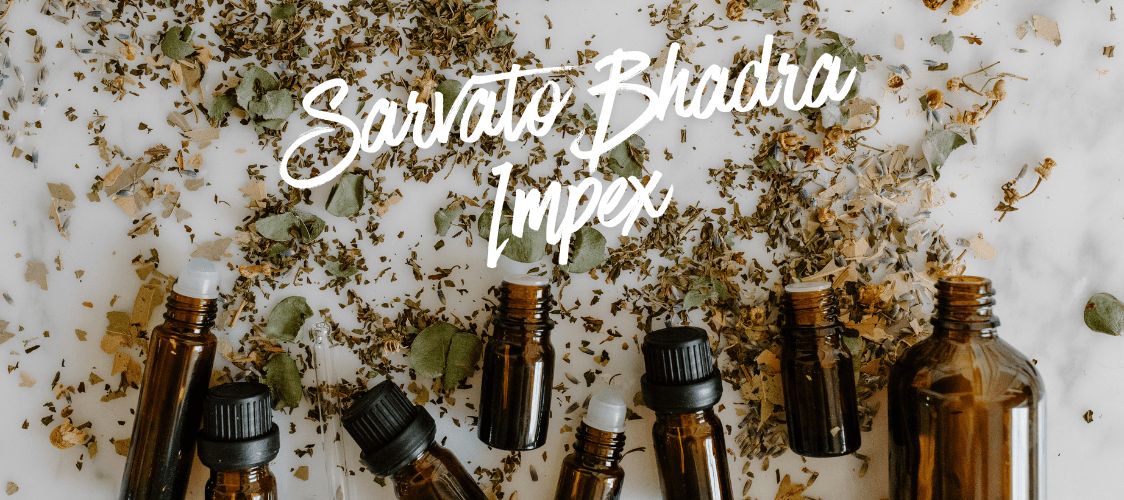 SARVATO BHADRA IMPEX Banner