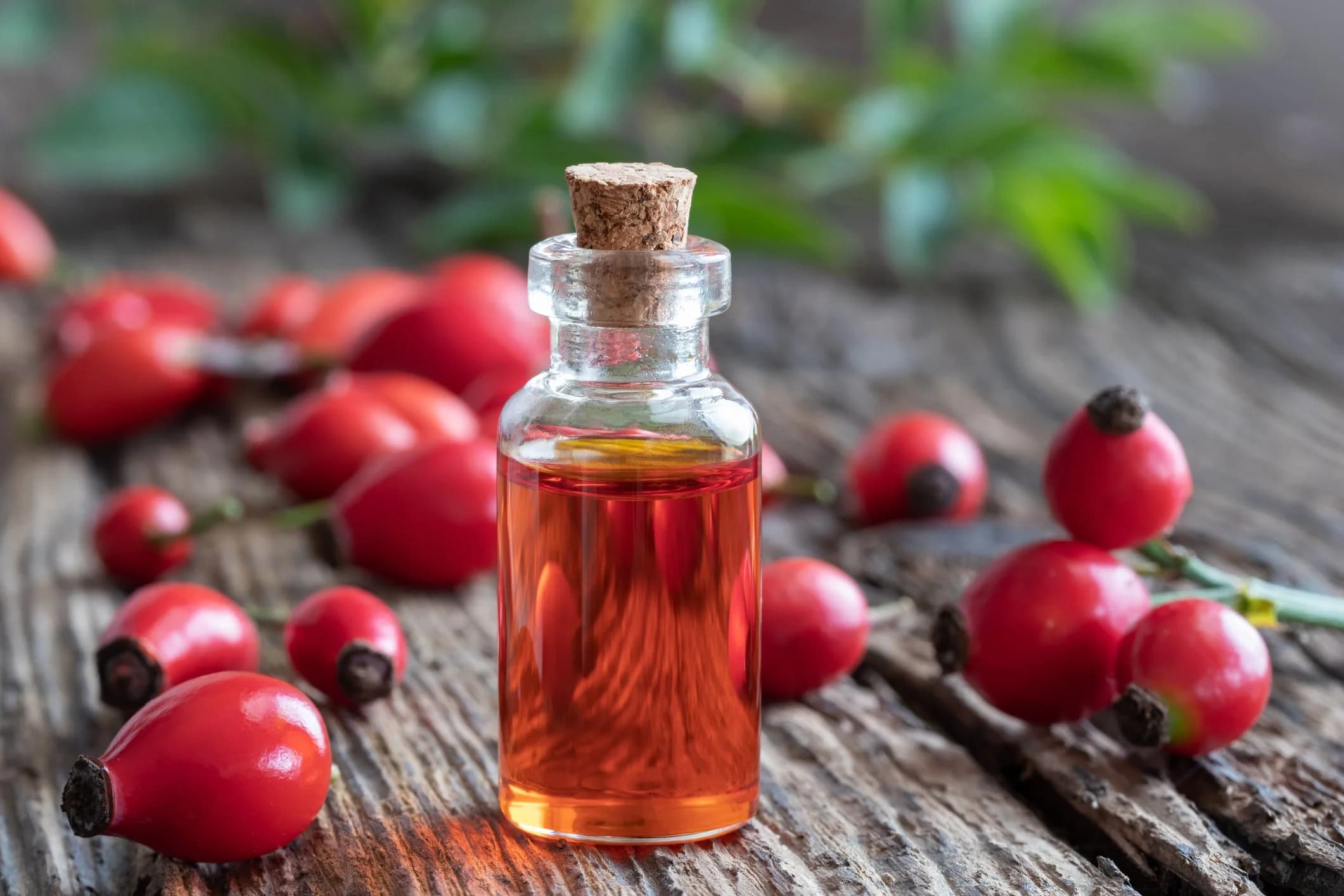 Rosehip Seed Oil