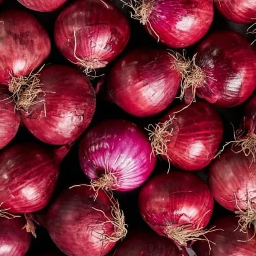 Red Onion