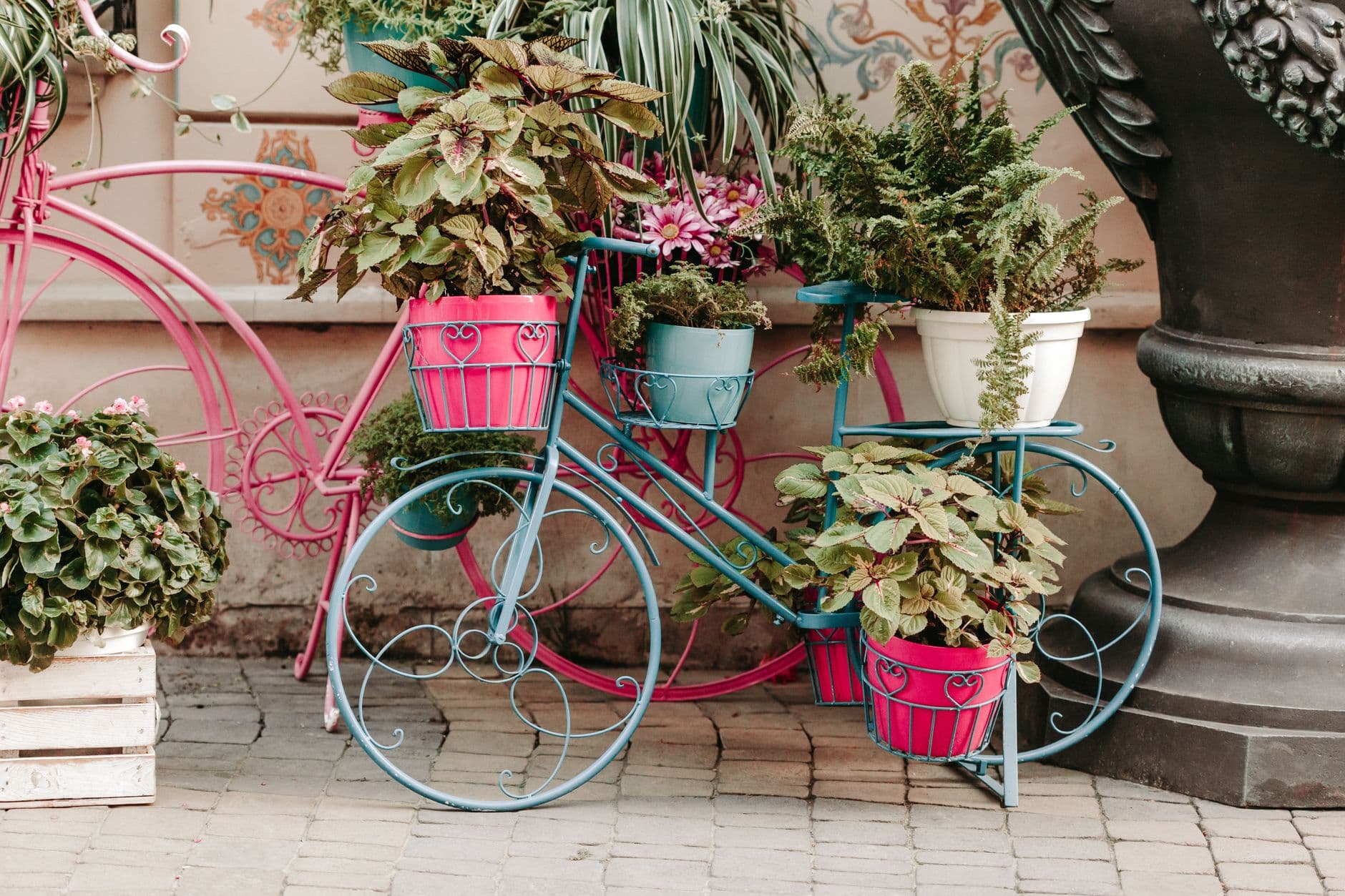 Iron Planter