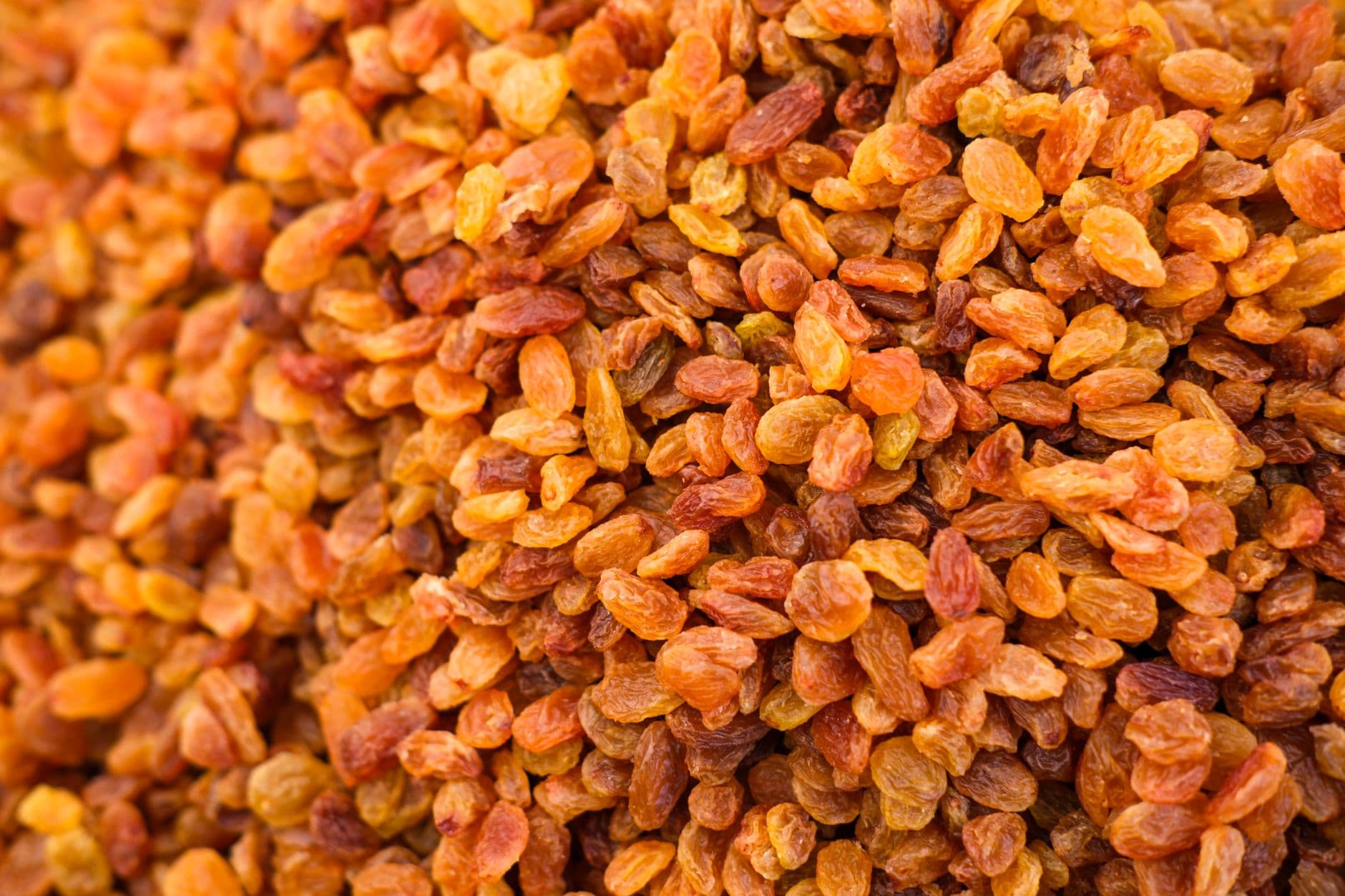 Dried Raisins