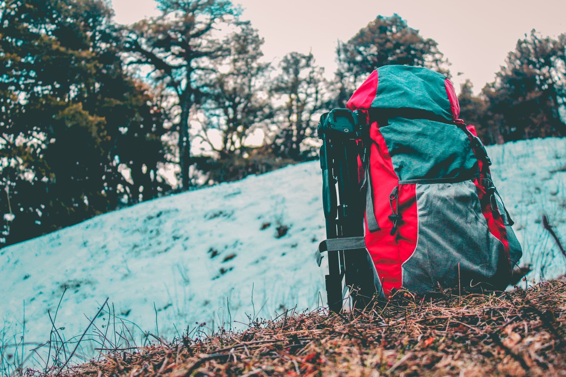 Backpack Bags
