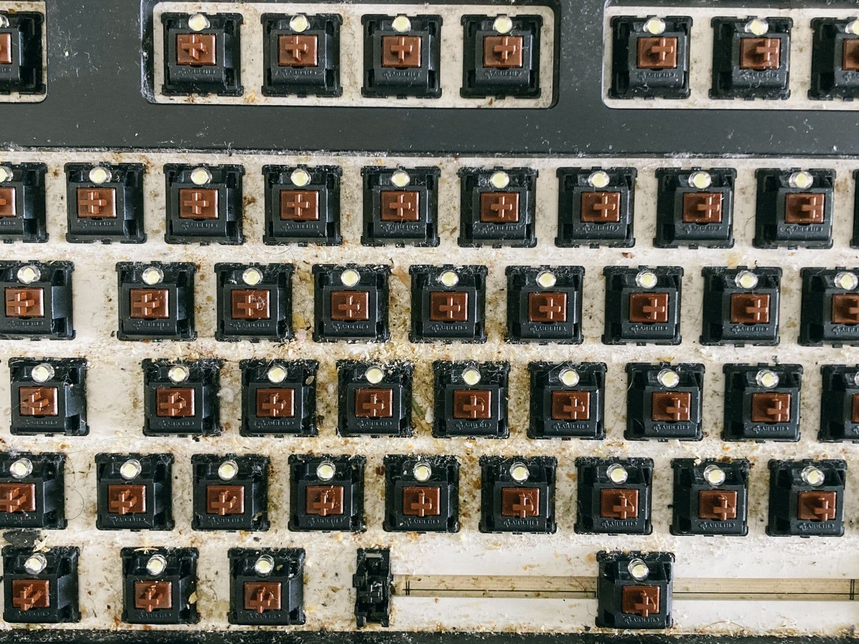 Gold Prime Mechanical Wired Keyboard