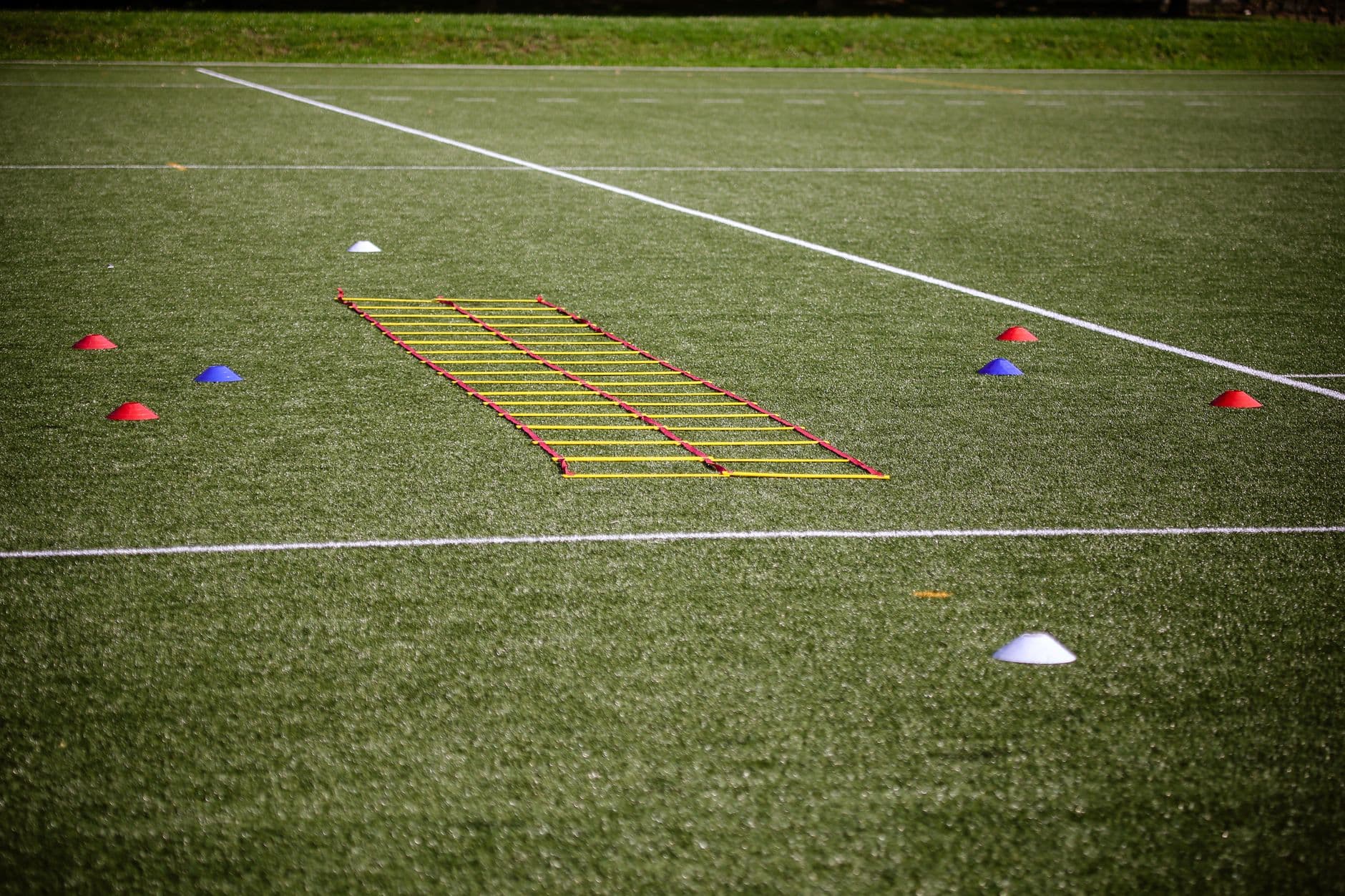 Agility Equipment