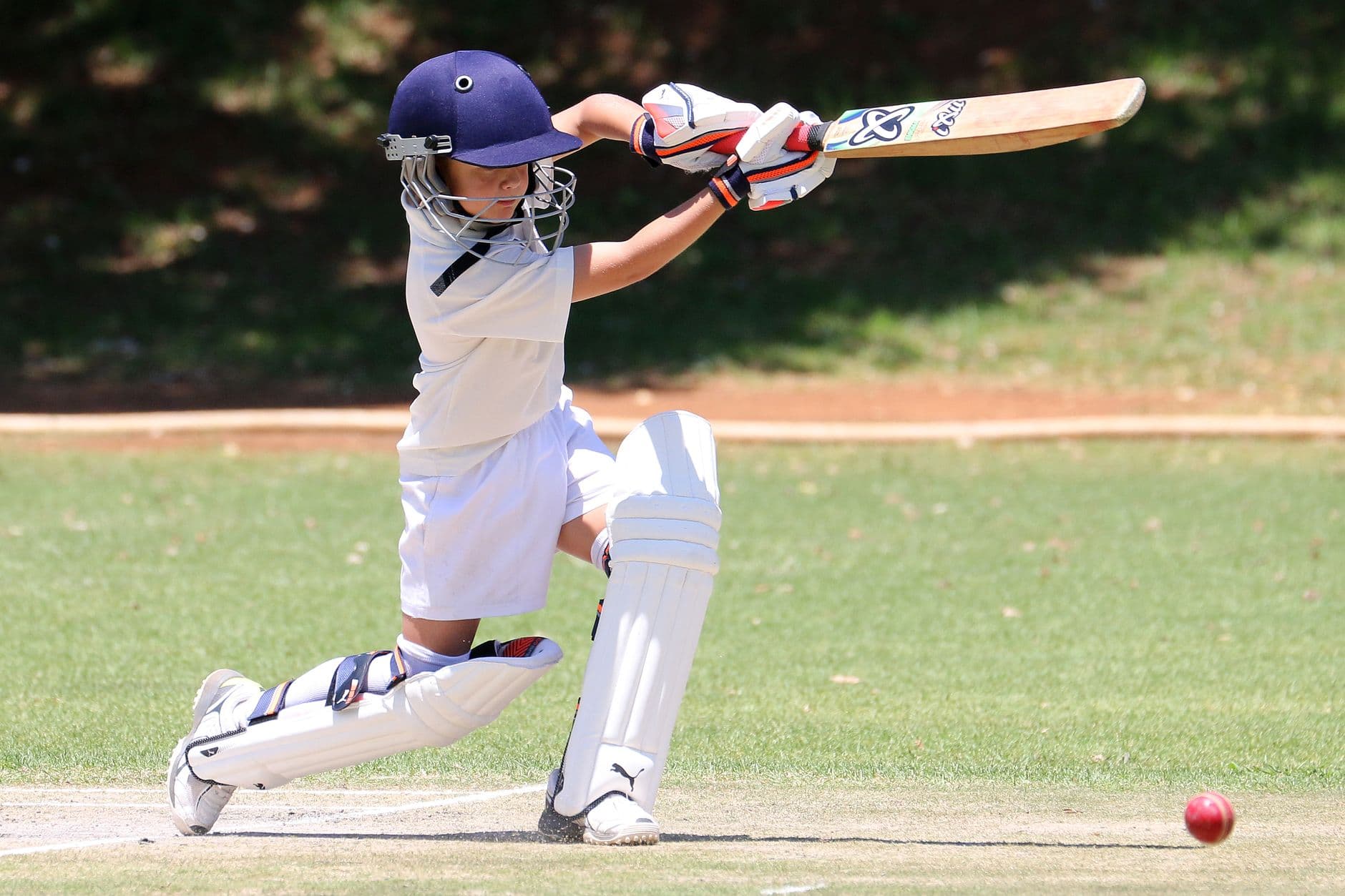 Cricket Leg Guards