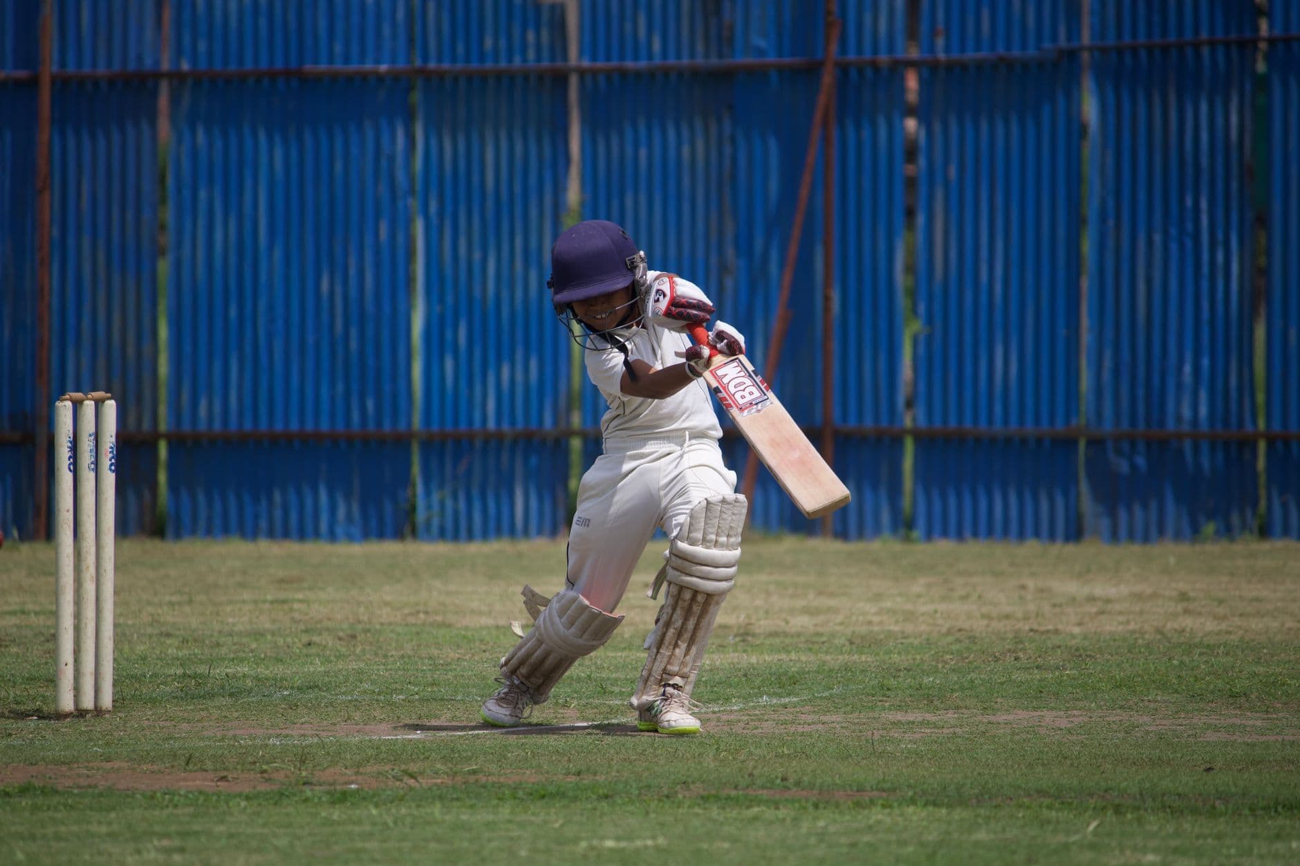 English Willow Cricket Bats