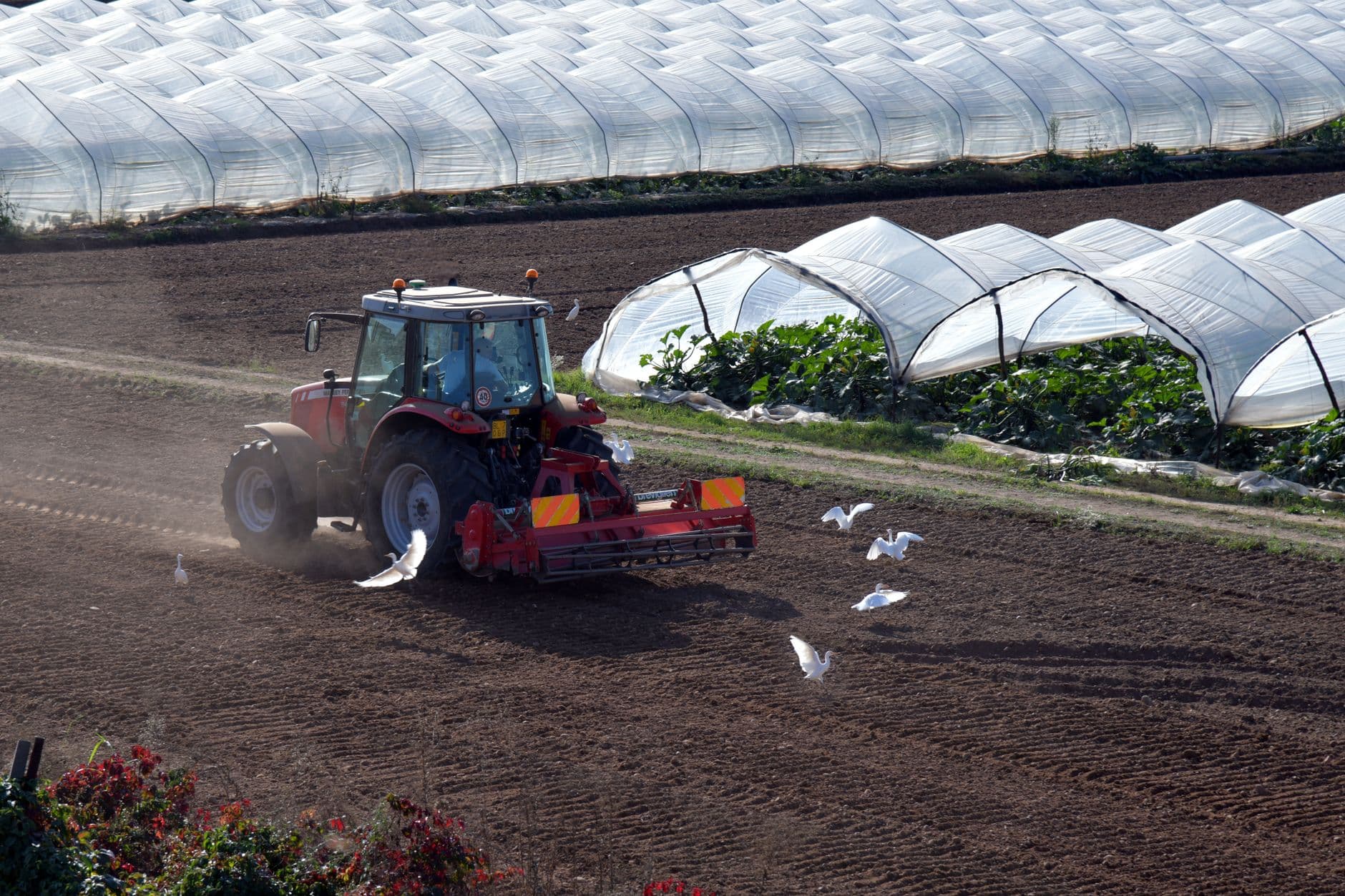 Agricultural Cultivator