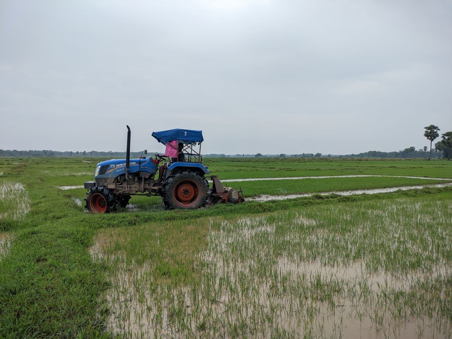 Tractor Cultivator
