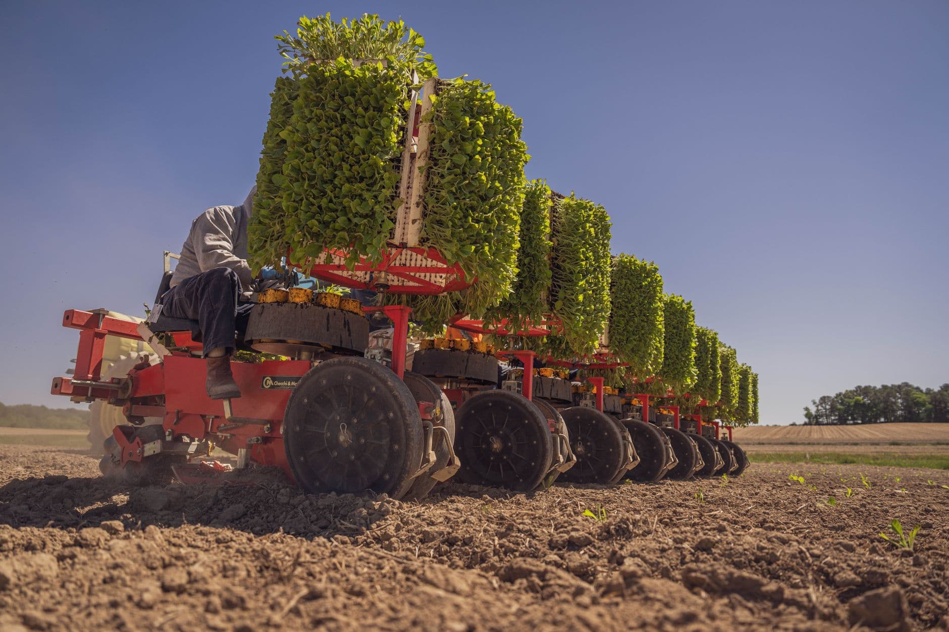 Agricultural Planter