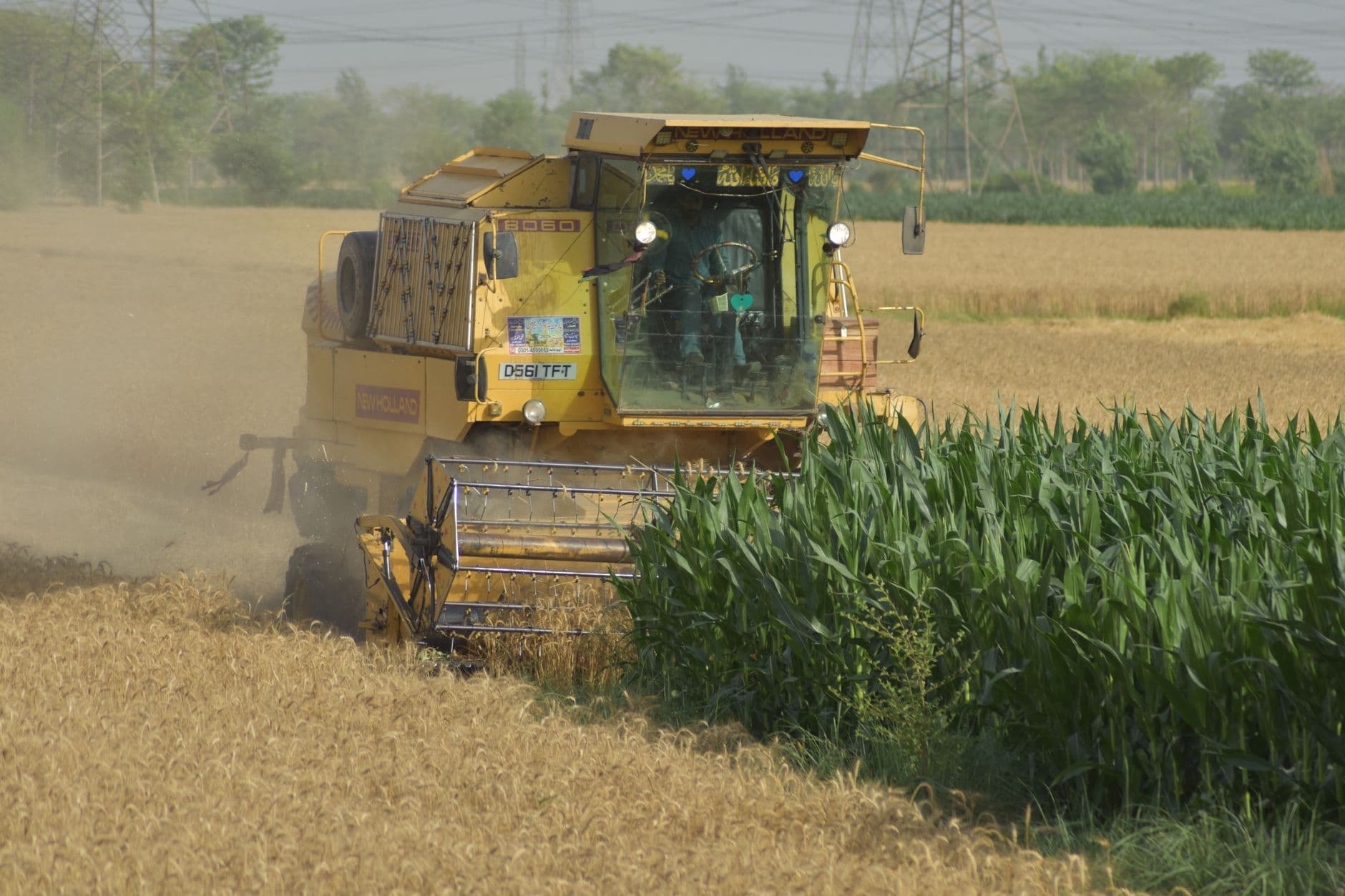 Maize Self Harvester Combine