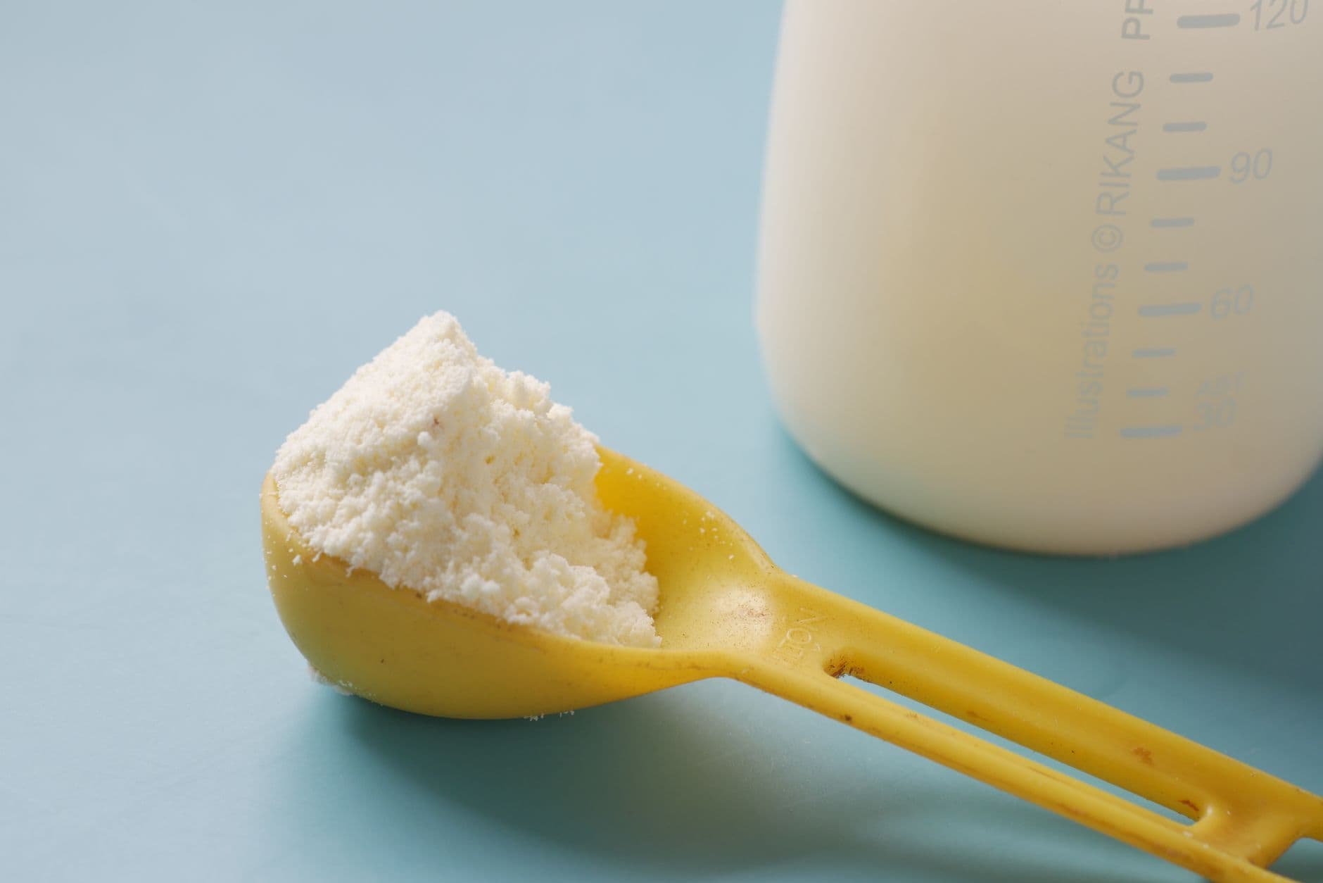 Whole Milk Powder