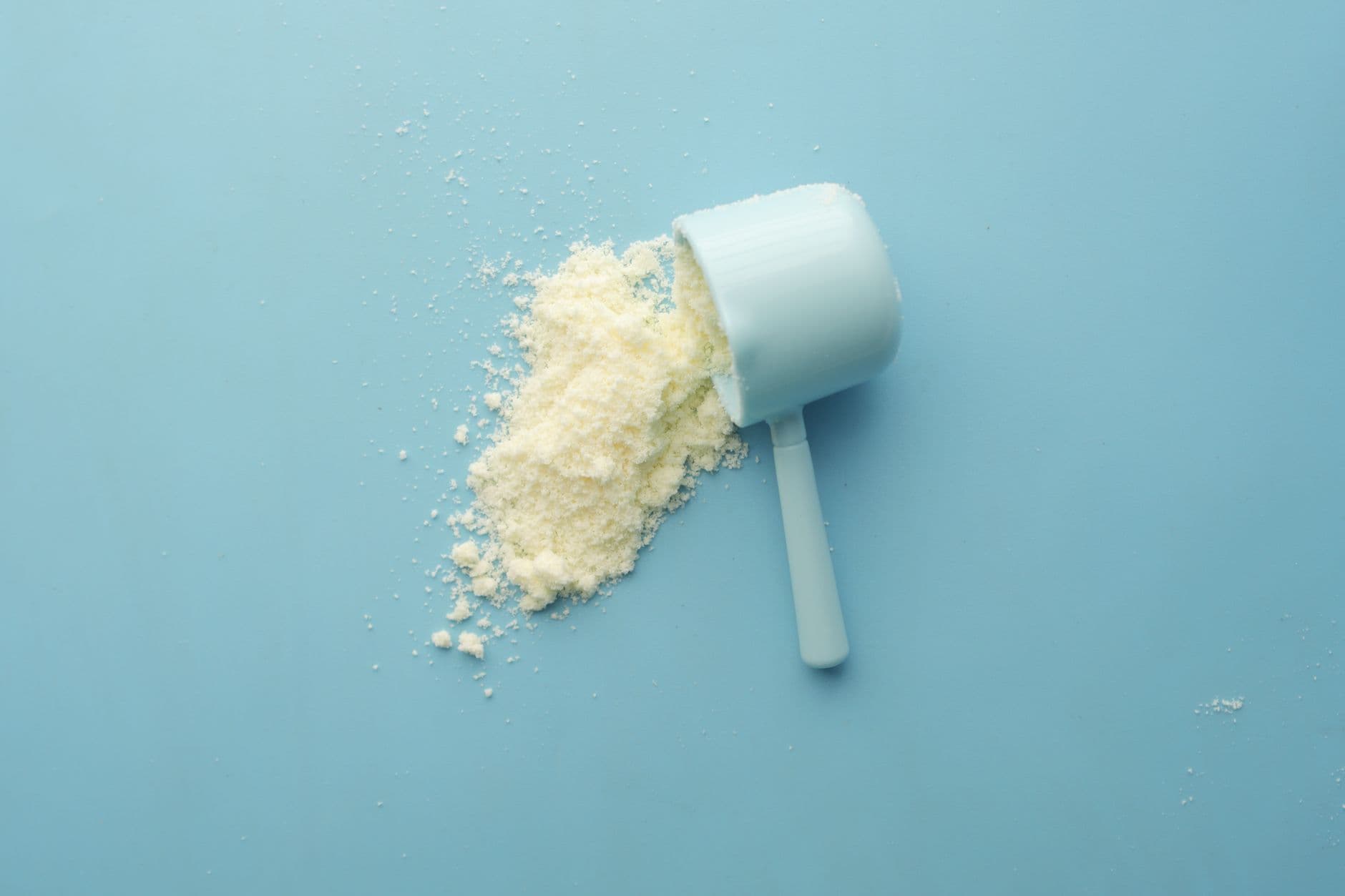 Whey Protein Powder