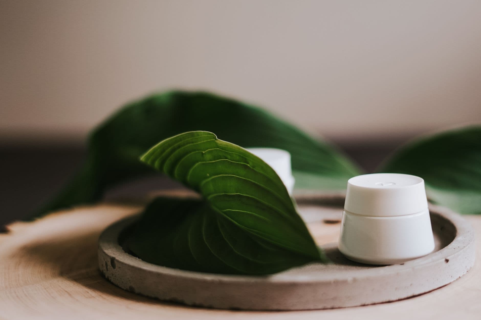 Areca Leaf Tray