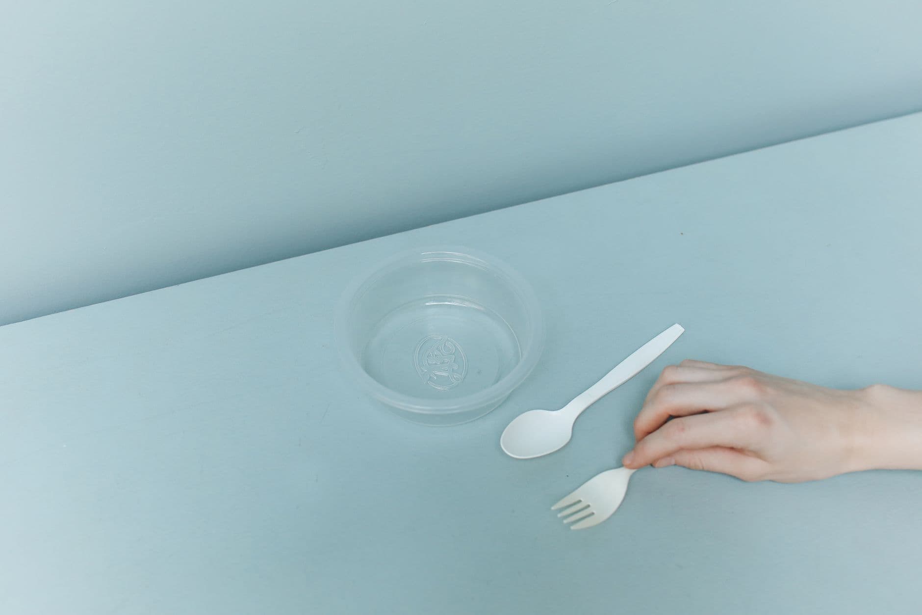 Disposable Bowl