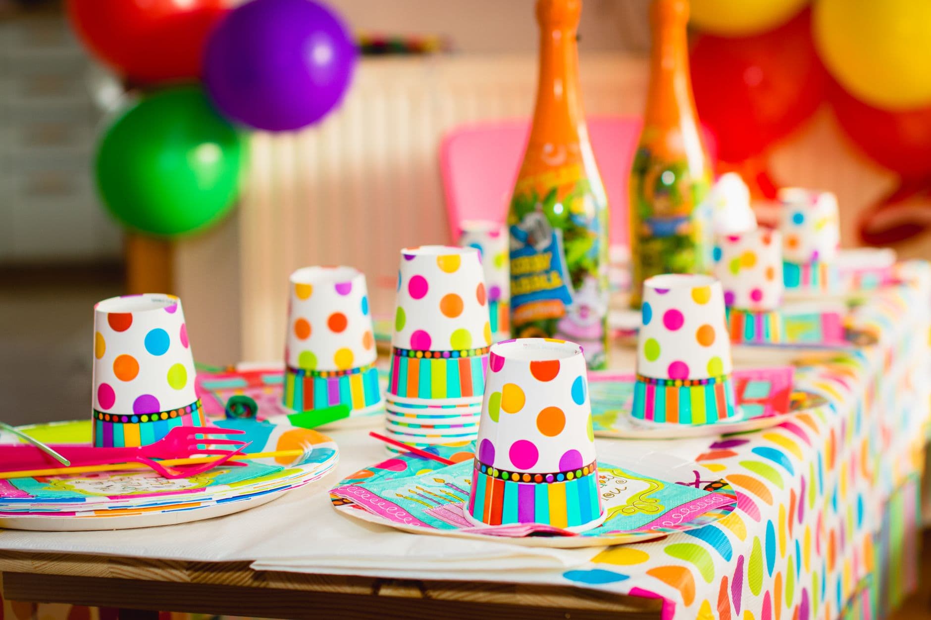 Disposable Cup & Plate Set