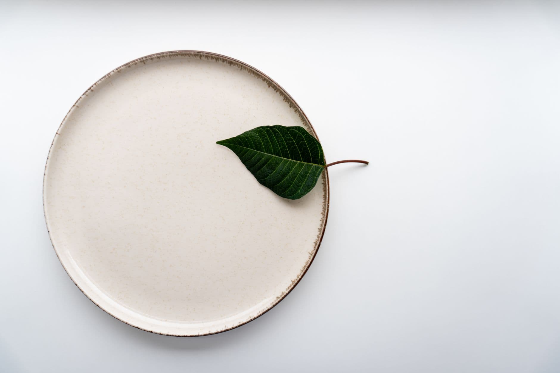 Areca Leaf Plate