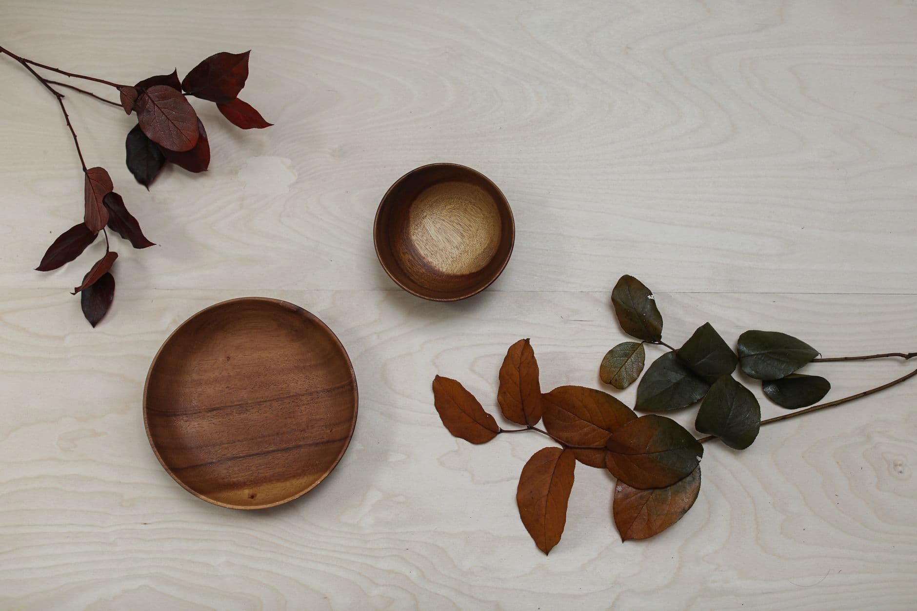 Areca Leaf Bowl