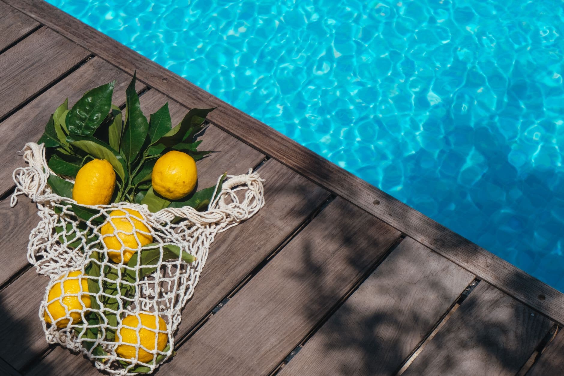 Swimming Pool Wall Surface Skimmer Net