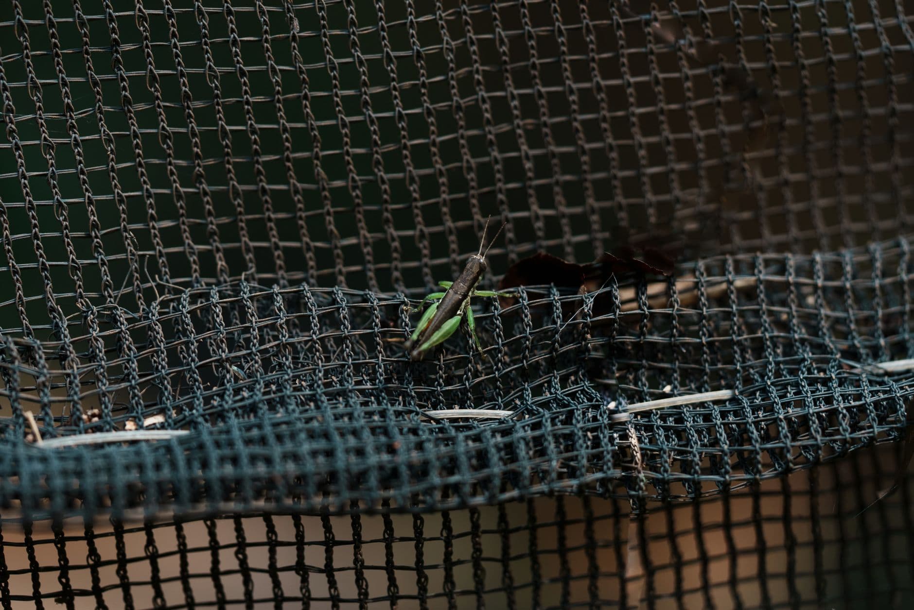 Heavy Duty Deep Leaf Net Skimmer Mesh